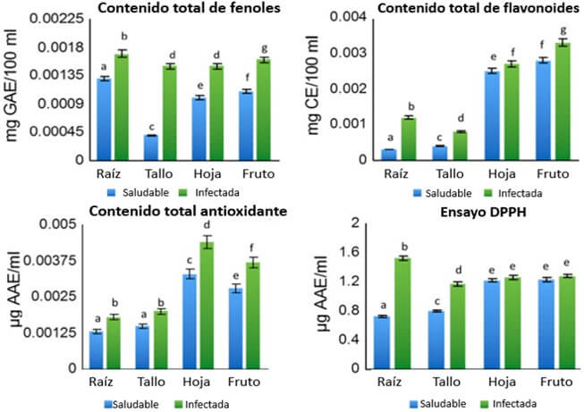 Contenido de antioxidantes en plantas de banano