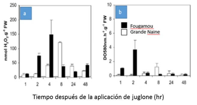 Contenido de especies reactivas de oxígeno