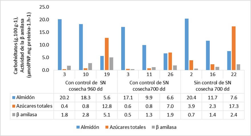 Contenido de almidón y de azucares 