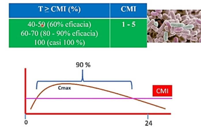 Farmacodinamia de los antibióticos tiempo dependiente