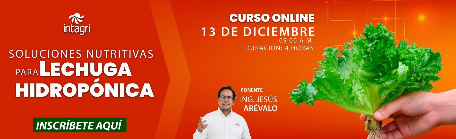 Inscribete al Curso Intagri de Soluciones Nutritivas para Lechuga Hidropónica