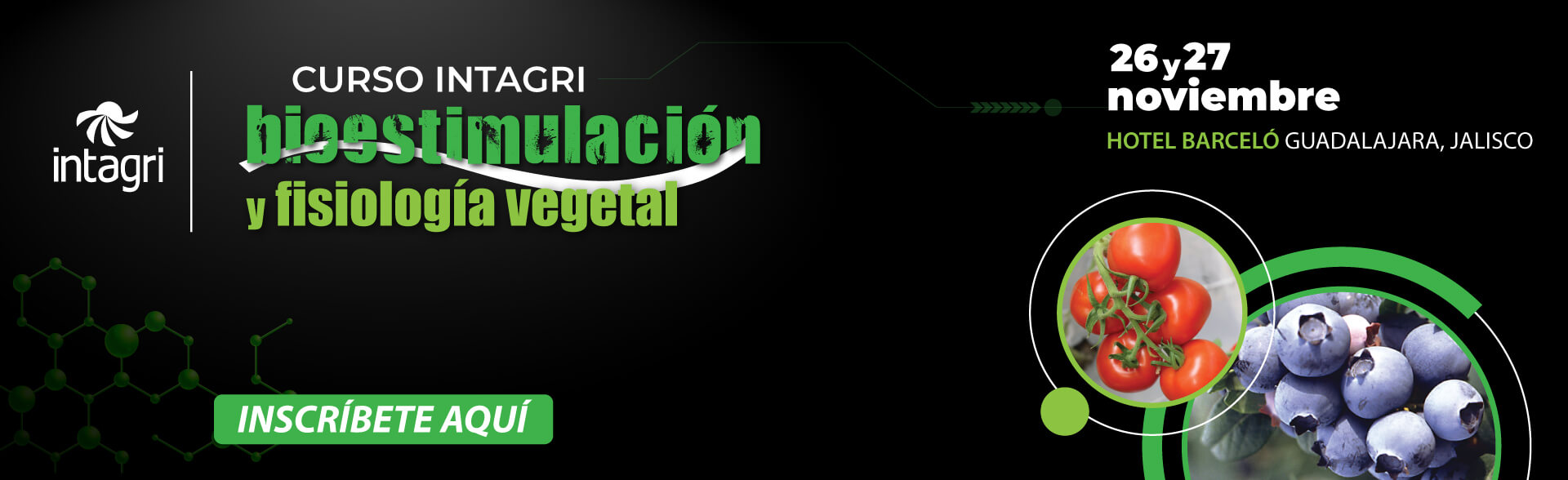 Inscribete al Curso Intagri de Bioestimulación y Fisiología Vegetal