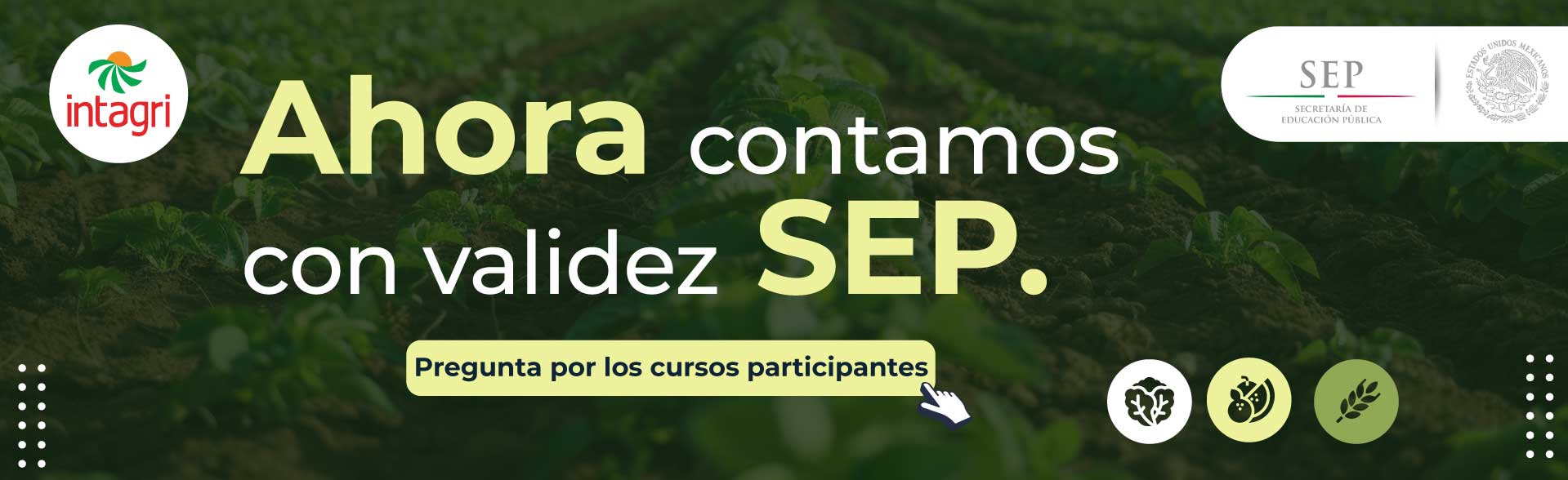 Ya contamos con Validez Oficial SEP