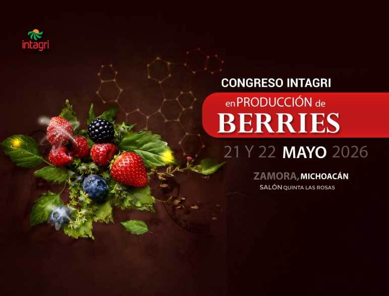 Inscribete al Congreso Intagri en Producción de Berries
