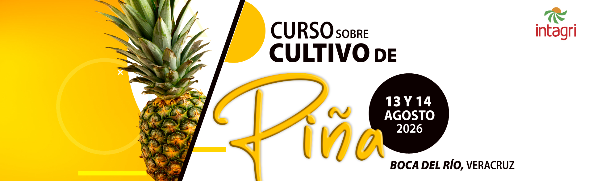 Inscribete al Curso INTAGRI sobre el Cultivo de Piña